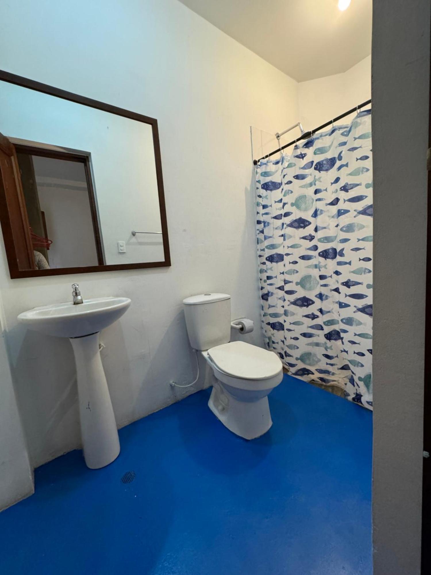 Hotel Casa Bresse カリ 部屋 写真
